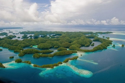 unicorn-meat-is-too-mainstream: Palau is an archipelago of about 250 islands, located in the western