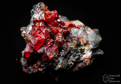 emeraldcityminerals: Red translucent realgar (As4S4) on matrix. From Getchell Mine, Adam Peak, Potos