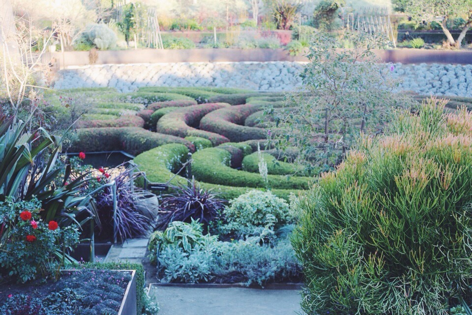 racheletnicole:  Rachel | Gardens at the GettyAnd Other Stories top (similar here),