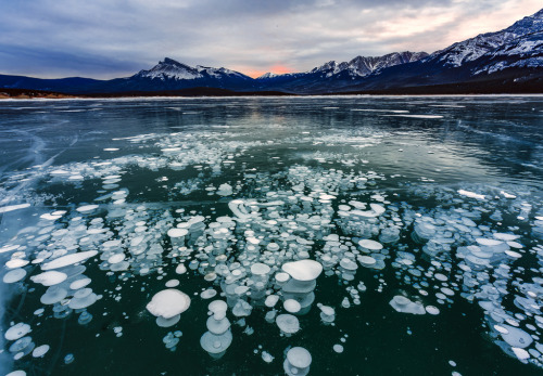 Porn cerceos:    Yi Jiang - Ice Bubbles on Abraham photos