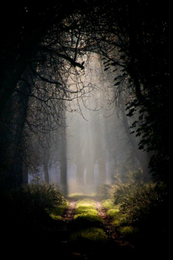 ilaurens:  DSC_0381 - By: (gordon.adler) 