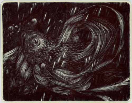 lohrien:  Illustrations by Marco Mazzoni on tumblr