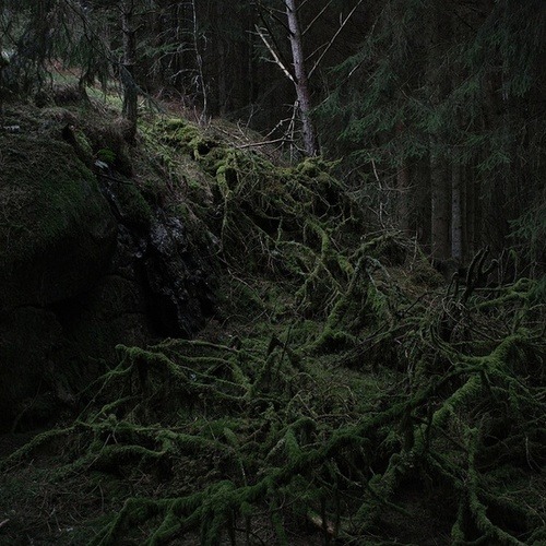 paganroots:By Coyhand