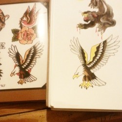 Eagle Study. Just Keepin&Amp;Rsquo; &Amp;Lsquo;Em Comin&Amp;Rsquo;. #Eagle #Americantraditional