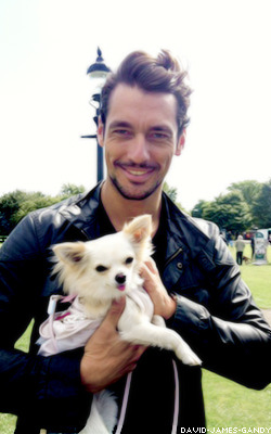 david-james-gandy:  David &amp; Dogs  cute