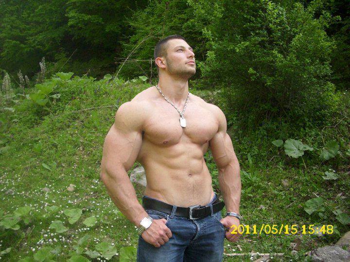 muscle-addicted:  Besim Trena