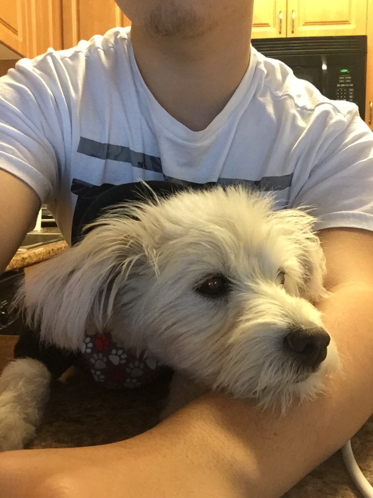 asian:  She always lay her head on my arm and stare into space