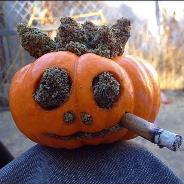 "Struggle is the enemy, but weed is the remedy"