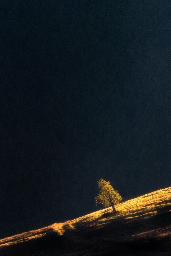 0rient-express:  One | by Vlad Sokolovsky. 