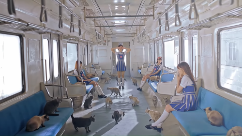 kpop girls + trains