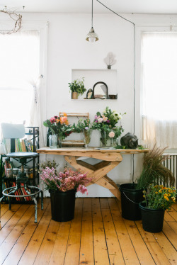 adfurasi:  having plants in your home is