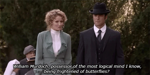 moreofaspectacle:  DRAGONFLIES ARE DIFFERENT.  