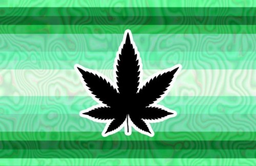 What In The Weed Xenogender ‚randy And Towlie Would Indentidy As This
