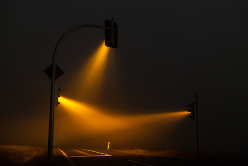 taktophoto: Enchanting Traffic Lights Glow in Foggy Germany