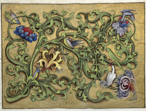 discardingimages: birds among the greenery Hours of Charles of Angoulême, France ca. 1475-1500 BnF, 