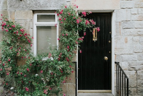 expressions-of-nature: Edinburgh, United Kingdom by Lucija Ros