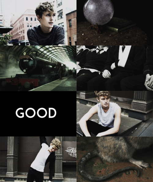 babzgordon:the raven boys as the marauders