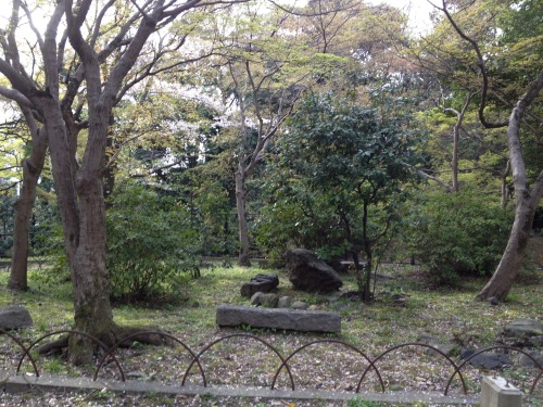 Gion Jinja (Not sure that&rsquo;s the right name) in spring.  Flowers everywhere!  Als