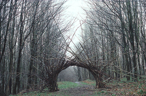 jupiterthedragon:Andy Goldsworthy works with nature only and creates so-called land art. His works a
