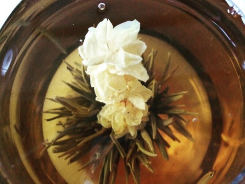 南京町でもらったジャスミン茶σ(￣、￣=) 南京町（神戸） #tea #flower #jasmine #delicious