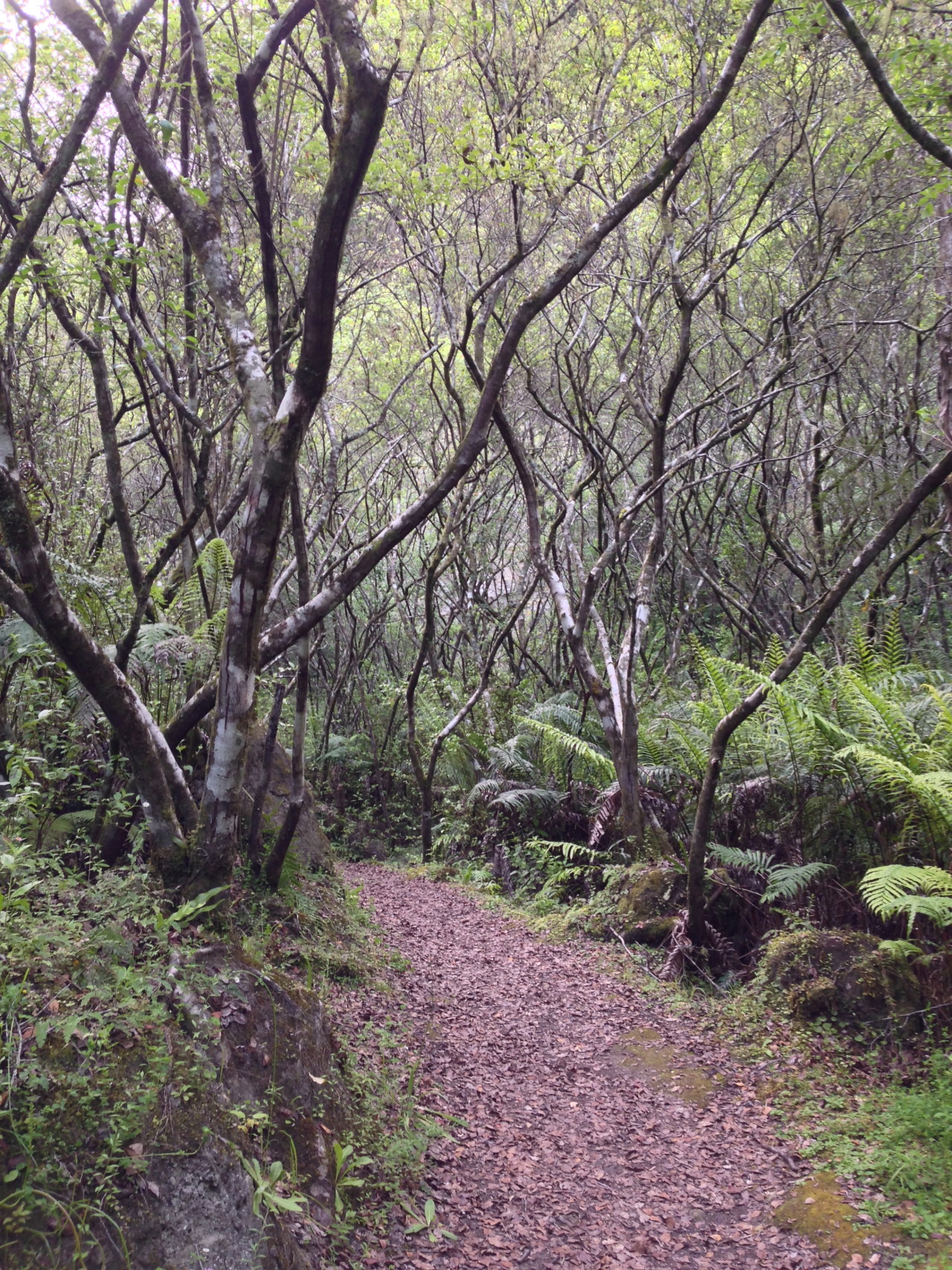 fullfatfitblr:  Exploring my new neighbourhood (and awkwardly crashing a couple’s