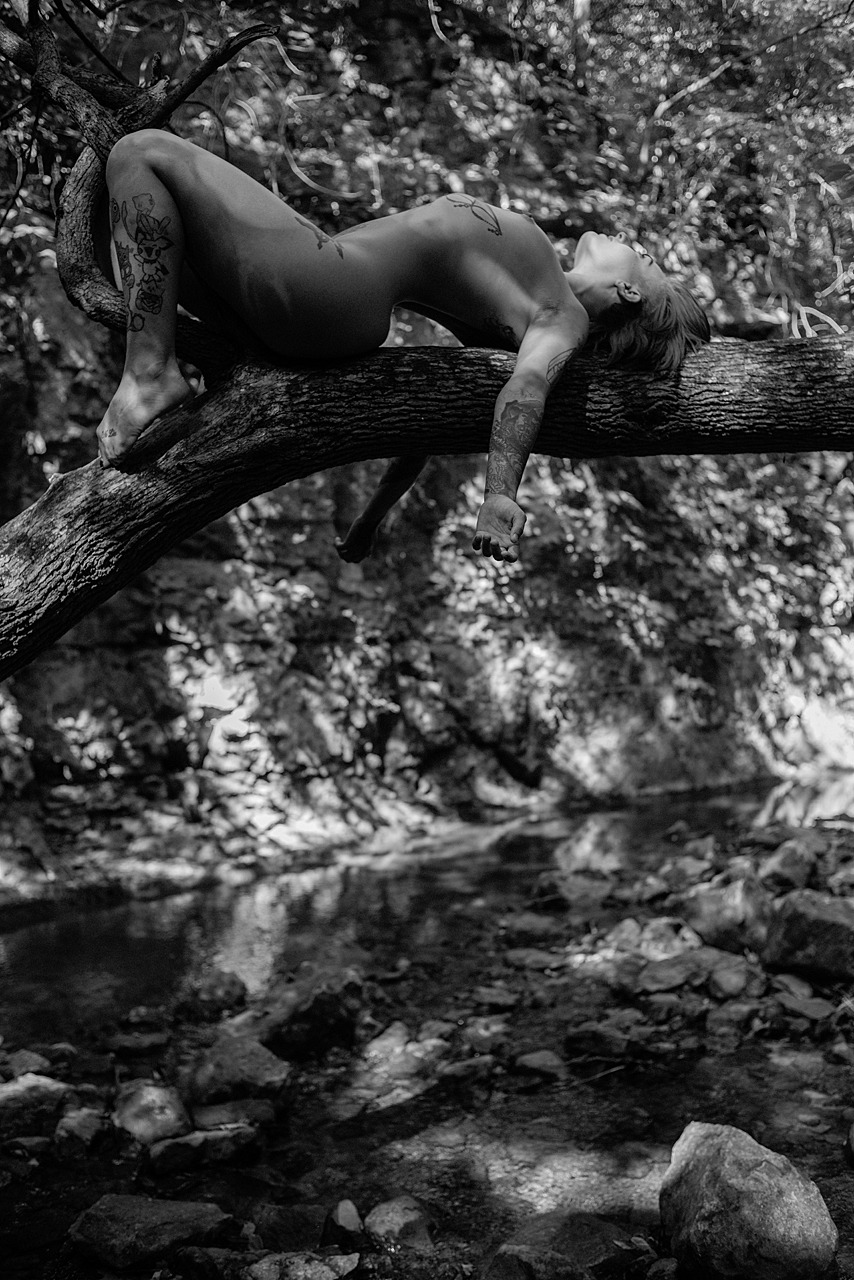 jae-ellingen-photography:    Willow  