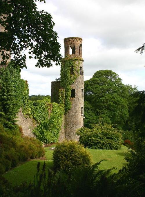 The ruined towers of Blarney Castle, Ireland (by asajernigan).