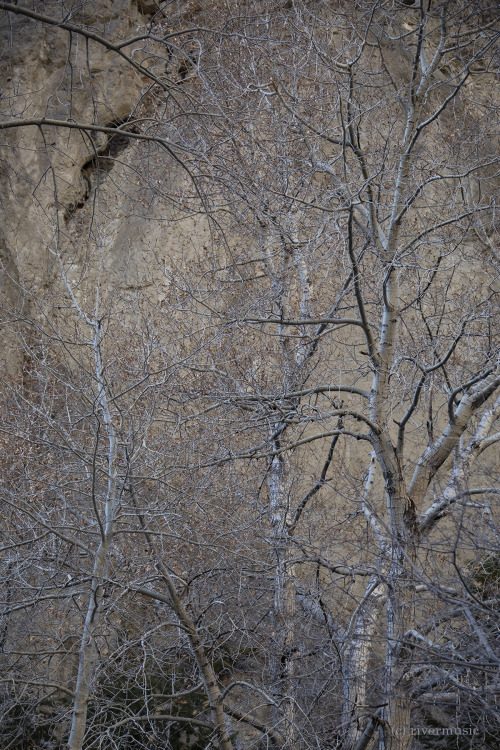 In Deer Creek Canyon: © riverwindphotography, December 2020