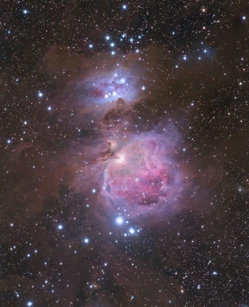 The Orion Nebula (M42), M43 and the Running Man Nebula.Credit - ...