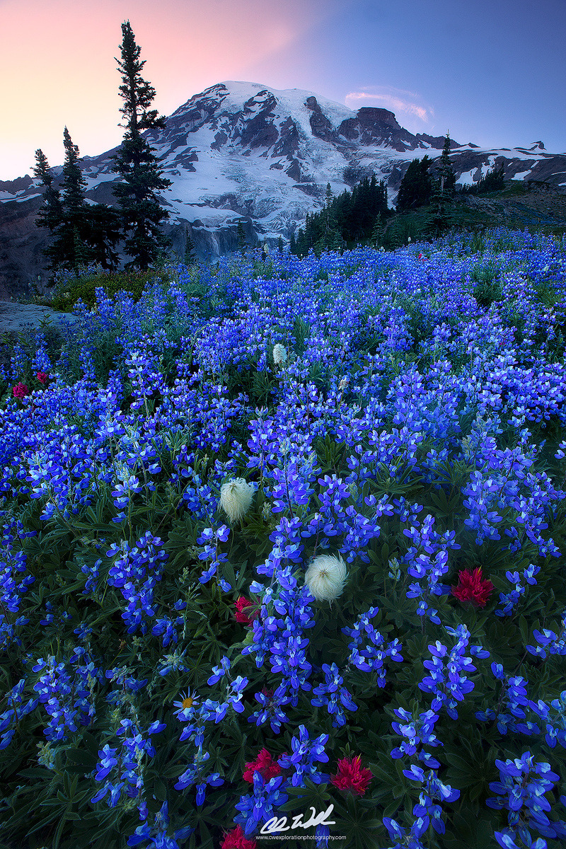 photos-worth:  Tahoma, by cwexplorationphotography  ++check it out in full screen++