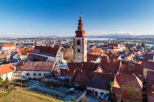 breathtakingdestinations:Ptuj - Slovenia (by Markus L) 