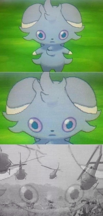 i have seen things