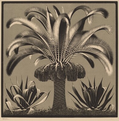 desimonewayland:  M.C. Escher Palm 1933 Wood