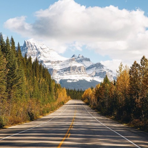 outdoorspastelnature:Observe