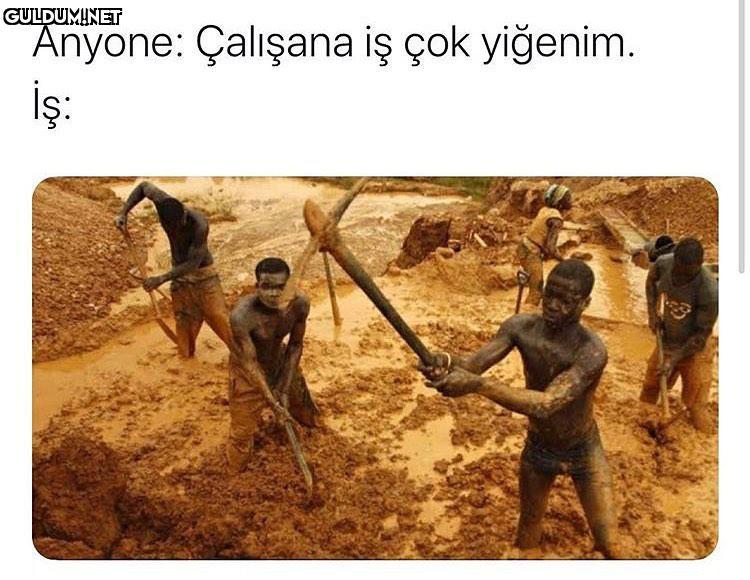 Anyone: Çalışana iş çok...