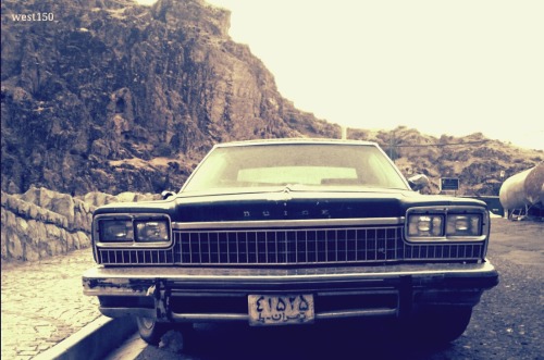 Buick Electra 1976