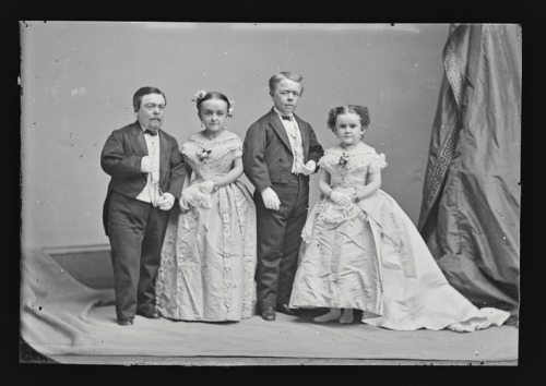 Strattons, G.W.M. Nutt, and Minnie Warren, c. 1860-1870, Smithsonian: National Portrait GallerySize: