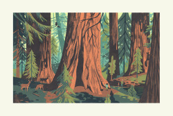 SEQUOIA
From National Parks of the USA
- 8-color, hand-pulled silkscreen print on Stonehenge printmaking paper
- 27”x 18”
- Edition size of 50
Prints are available in my online shop.