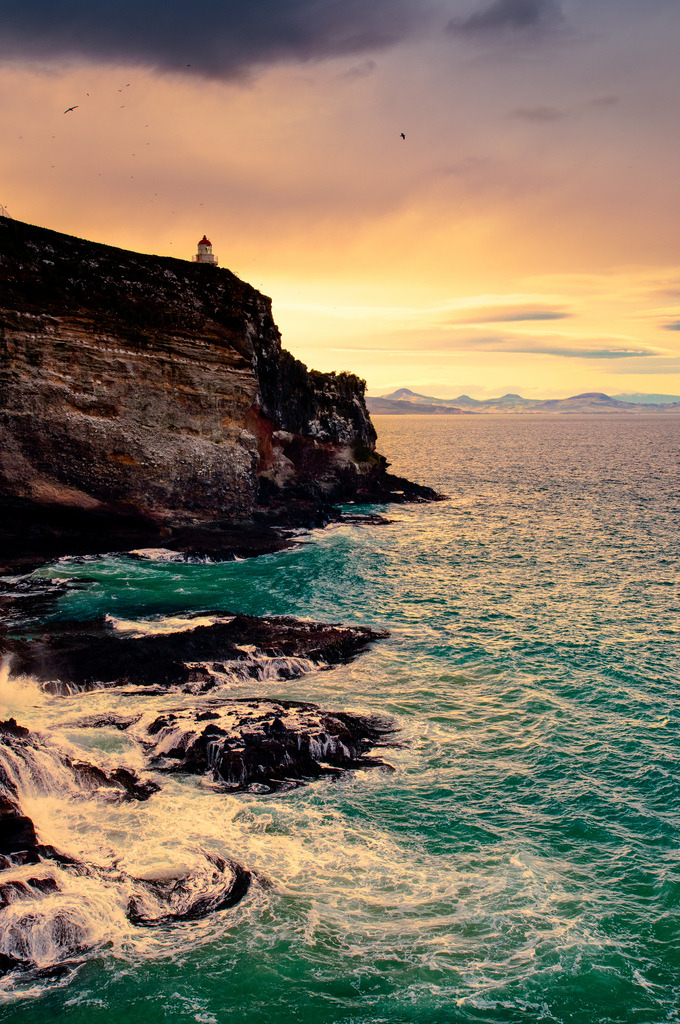 touchdisky:  Portobello Penninsula, Otago Harbour, Dunedin, South Island, New Zealand