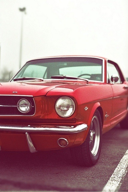 trytek:  Pony | «Via» | © Staszak Fabrice 