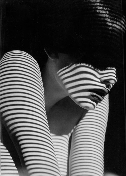 lalouveencage.tumblr.com/post/41134079929/