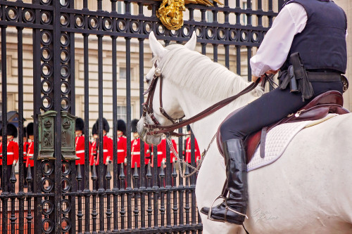 Mounted Police watching over the crowds as the Changing of Guards ceremony took place at Buckingham 