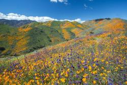 amazinglybeautifulphotography:  Vast Hillsides