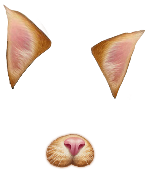 19+ Overlays Transparent Tumblr Snapchat Overlay Png Images