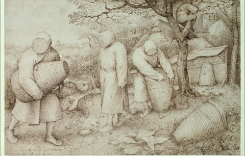 The Beekeepers, 1568Pieter Bruegel (The Elder)© Staatliche Museen zu Berlin, Kupferstichkabinett