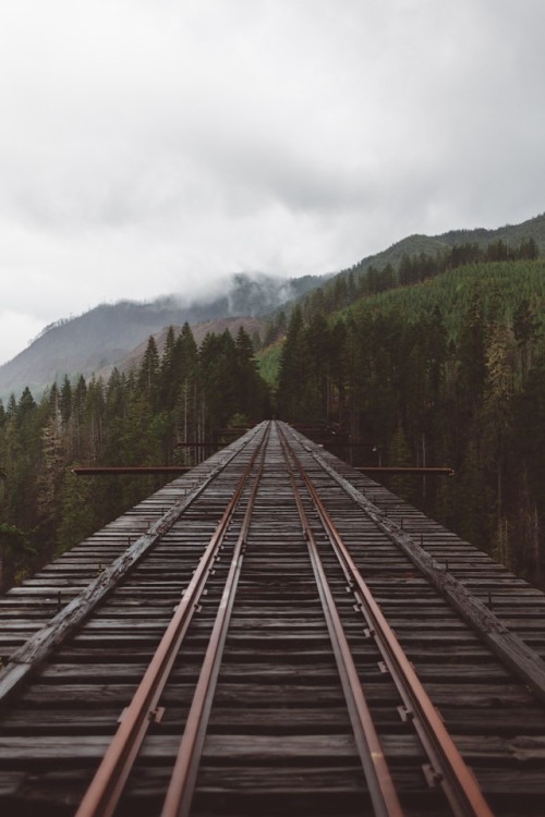 wonderous-world:Vance Creek, Washington, USA by Jonathan Taylor