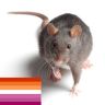 ratabethchase:Me: wow it smells like updanger in hereYou: 