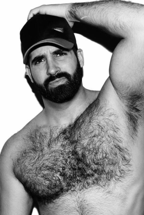 My Hairy Dream
