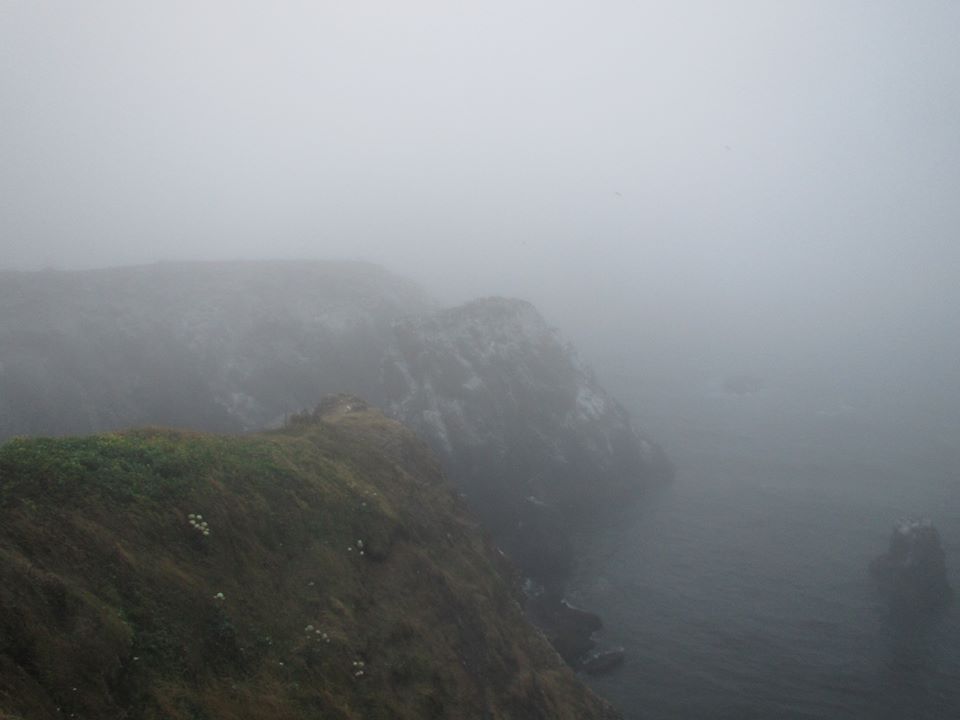 3000-milesfromyou:  ☁Ｆｏｇｇｙ ｐａｌｅ ☁