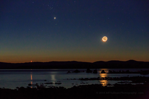 foxmouth:  Venus, Jupiter and the Moon, 2014 | by Jeff Sullivan 